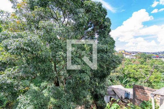 Quintal de casa à venda com 3 quartos, 600m² em Palmeiras, Belo Horizonte