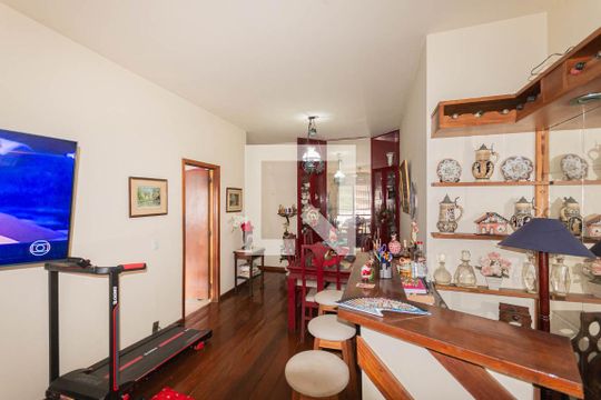 Sala de apartamento à venda com 3 quartos, 120m² em Grajaú, Rio de Janeiro