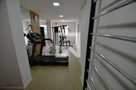Área comum - Academia de apartamento para alugar com 2 quartos, 66m² em Vila Industrial (campinas), Campinas