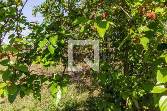 Área comum de apartamento à venda com 2 quartos, 82m² em Tamboré, Santana de Parnaíba