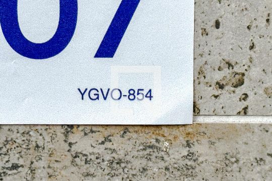 YGVO-854 de apartamento para alugar com 2 quartos, 38m² em Chácara Tatuapé, São Paulo