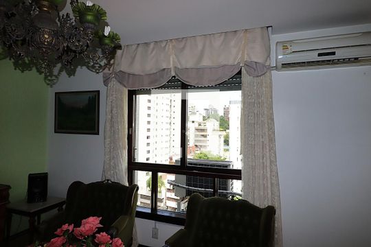 Janela 2 da Sala de apartamento para alugar com 2 quartos, 224m² em Rio Branco, Porto Alegre