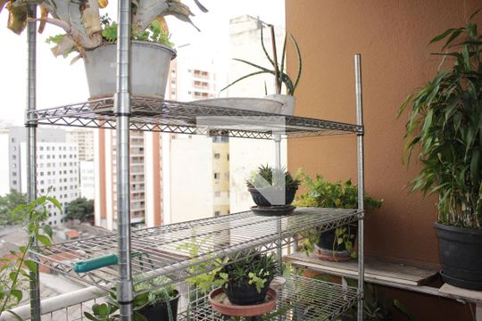 Apartamento à venda com 3 quartos, 235m² em Campos Elíseos, São Paulo