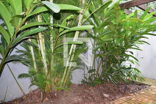 Jardim de casa à venda com 4 quartos, 312m² em Jardim Europa, São Paulo