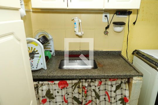 Cozinha de apartamento para alugar com 2 quartos, 47m² em Conjunto Habitacional Santa Etelvina Ii, São Paulo