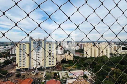 Apartamento para alugar com 3 quartos, 66m² em Mansões Santo Antônio, Campinas
