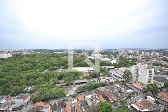Vista da Suíte de apartamento à venda com 3 quartos, 134m² em Jardim Olympia, São Paulo
