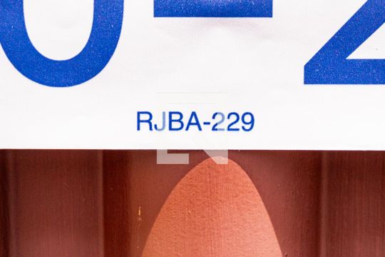 Placa de apartamento para alugar com 2 quartos, 48m² em São João Batista, Belo Horizonte