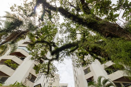 Fachada condominio de apartamento à venda com 3 quartos, 132m² em Moema, São Paulo