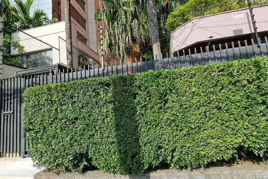 Fachada  de apartamento para alugar com 2 quartos, 360m² em Santa Cecília, São Paulo