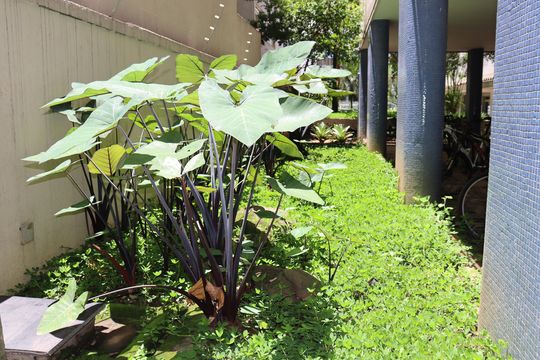 Área Comum de apartamento à venda com 3 quartos, 155m² em Bela Vista, São Paulo