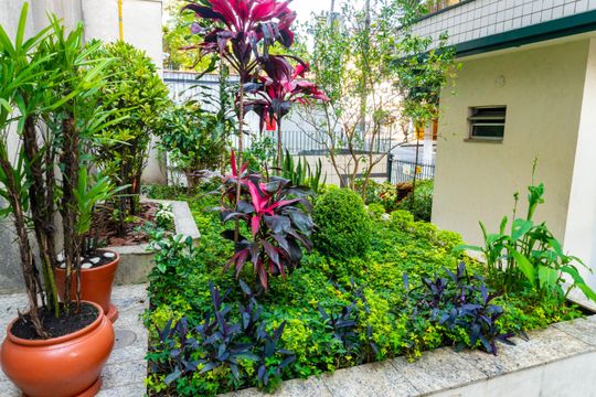 Área comum de apartamento à venda com 2 quartos, 51m² em Mirandópolis, São Paulo