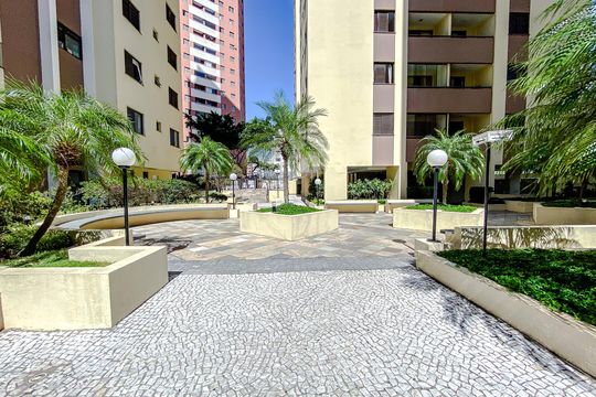 Área comum de apartamento para alugar com 2 quartos, 57m² em Cambuci, São Paulo