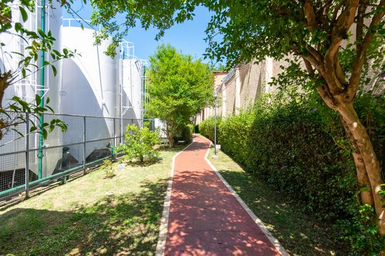 Área comum de apartamento para alugar com 3 quartos, 65m² em Parque Jabaquara, São Paulo