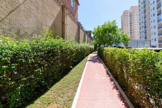 Área comum de apartamento para alugar com 3 quartos, 65m² em Parque Jabaquara, São Paulo