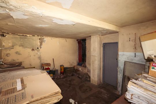 Quintal de casa para alugar com 3 quartos, 295m² em Cambuci, São Paulo