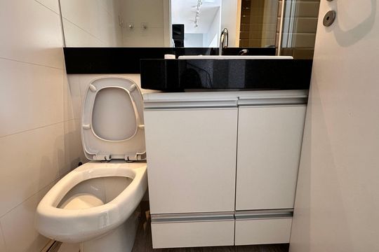 Lavabo de apartamento para alugar com 2 quartos, 85m² em Vila Cordeiro, São Paulo