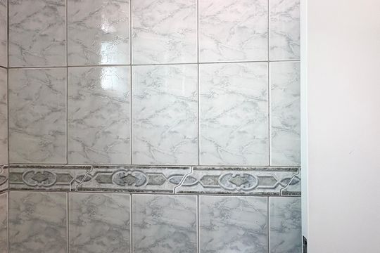Banheiro de apartamento para alugar com 2 quartos, 54m² em Vila Cruz das Almas, São Paulo