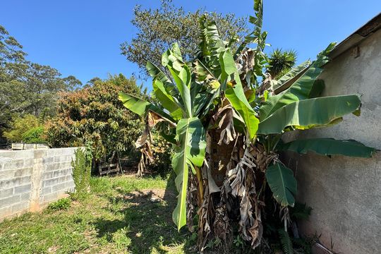 Quintal de casa para alugar com 1 quarto, 70m² em Quinta dos Angicos, Cotia