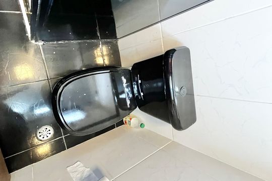 Banheiro de apartamento para alugar com 2 quartos, 50m² em Vila Dionisia, São Paulo