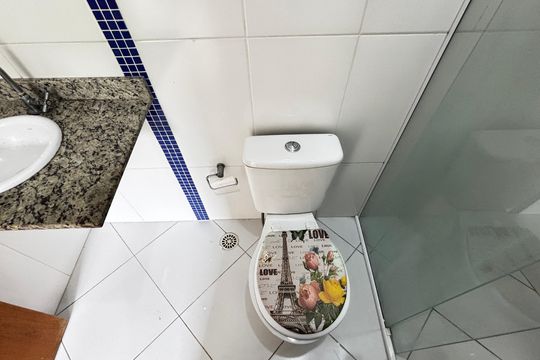 Banheiro da Suíte de apartamento para alugar com 2 quartos, 48m² em Vila Guiomar, Santo André