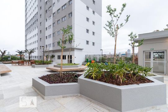 Área Comum de apartamento à venda com 2 quartos, 33m² em Vila Pierina, São Paulo