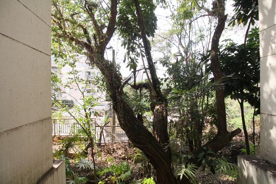 Vista da Varanda de apartamento para alugar com 2 quartos, 69m² em Jardim Ampliacao, São Paulo