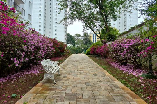 Área comum de apartamento para alugar com 3 quartos, 73m² em Vila Suzana, São Paulo