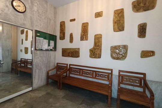 Hall Social de apartamento para alugar com 1 quarto, 46m² em Vila Santana, São Paulo