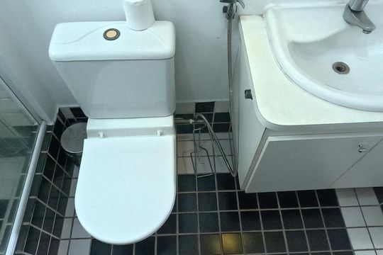 Banheiro de apartamento para alugar com 2 quartos, 70m² em Gonzaga, Santos