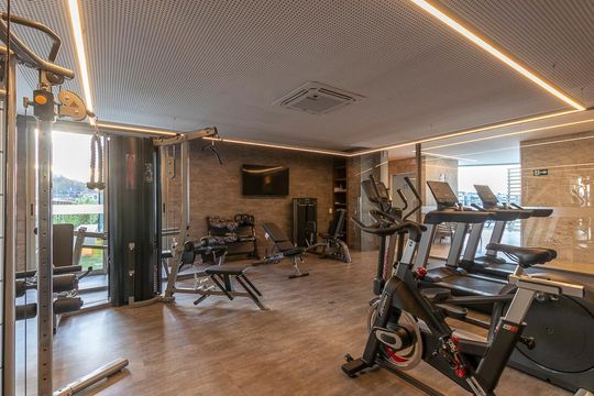 Área comum - Academia de apartamento à venda com 4 quartos, 241m² em Santa Lúcia, Belo Horizonte
