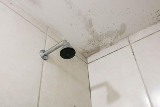Banheiro de apartamento para alugar com 2 quartos, 47m² em Del Castilho, Rio de Janeiro