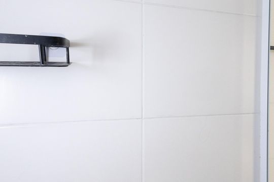 Banheiro Social de apartamento para alugar com 2 quartos, 50m² em Vila Guilherme, São Paulo
