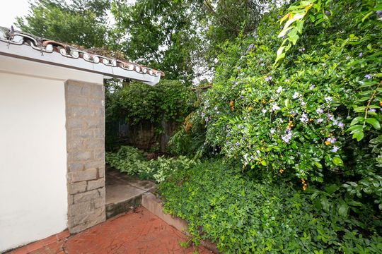 Área externa de casa para alugar com 4 quartos, 192m² em Sousas, Campinas