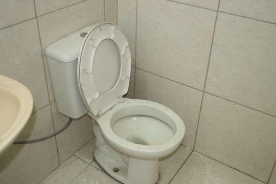 Banheiro Social de casa para alugar com 2 quartos, 72m² em Jardim da Gloria, Cotia