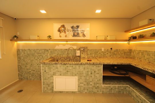 Área comum - Pet Care de apartamento para alugar com 2 quartos, 34m² em Cambuci, São Paulo