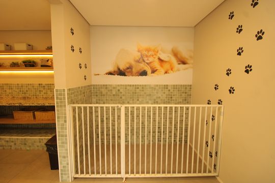 Área comum - Pet Care de apartamento para alugar com 2 quartos, 34m² em Cambuci, São Paulo