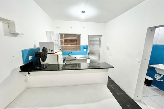 Sala/Quarto/Cozinha de casa para alugar com 1 quarto, 27m² em Parque Mandaqui, São Paulo