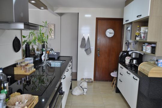 Apartamento para alugar com 3 quartos, 79m² em Méier, Rio de Janeiro