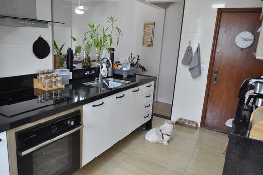 Apartamento para alugar com 3 quartos, 79m² em Méier, Rio de Janeiro
