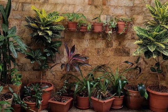 Área Externa de casa à venda com 3 quartos, 220m² em Tatuapé, São Paulo