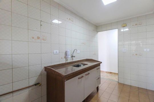 Cozinha de apartamento para alugar com 2 quartos, 50m² em Vila Ivone, São Paulo
