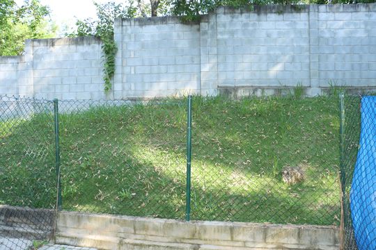 Área comum de casa de condomínio para alugar com 2 quartos, 60m² em Maranhão, Cotia