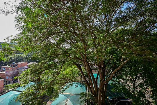 Vista do Quarto 1 de apartamento à venda com 2 quartos, 40m² em Super Quadra Morumbi, São Paulo