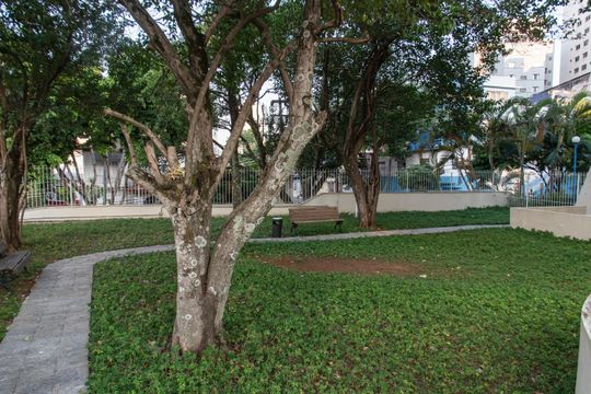 Área comum de apartamento para alugar com 1 quarto, 39m² em Cambuci, São Paulo