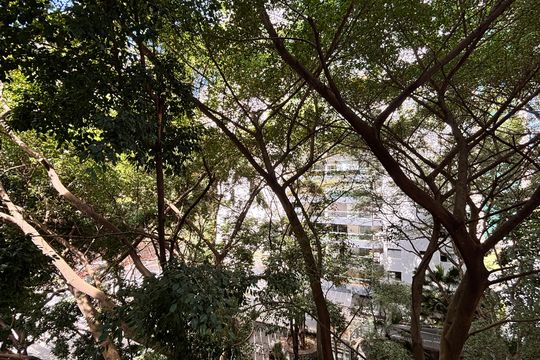 Vista de apartamento para alugar com 1 quarto, 36m² em Vila Nova Conceição, São Paulo