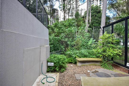 Jardim de apartamento para alugar com 2 quartos, 49m² em Vila Suzana, São Paulo