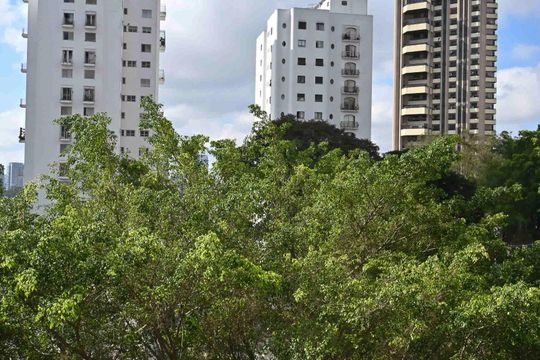 Vista de apartamento à venda com 4 quartos, 198m² em Vila Suzana, São Paulo