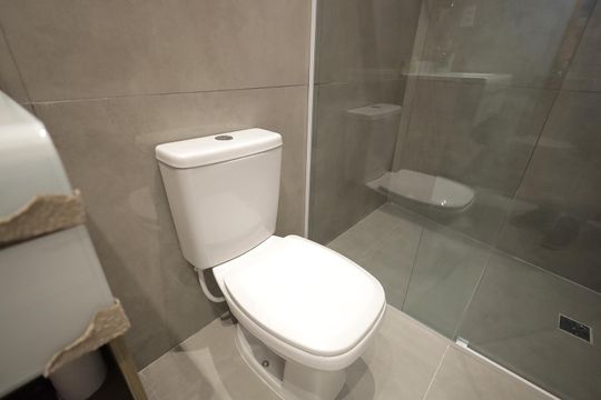 Banheiro de apartamento para alugar com 2 quartos, 42m² em Santa Maria, Santo André
