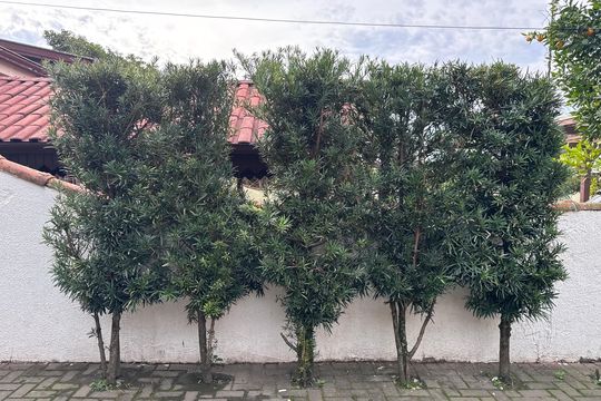 Área comum de casa à venda com 2 quartos, 110m² em Padre Reus, São Leopoldo